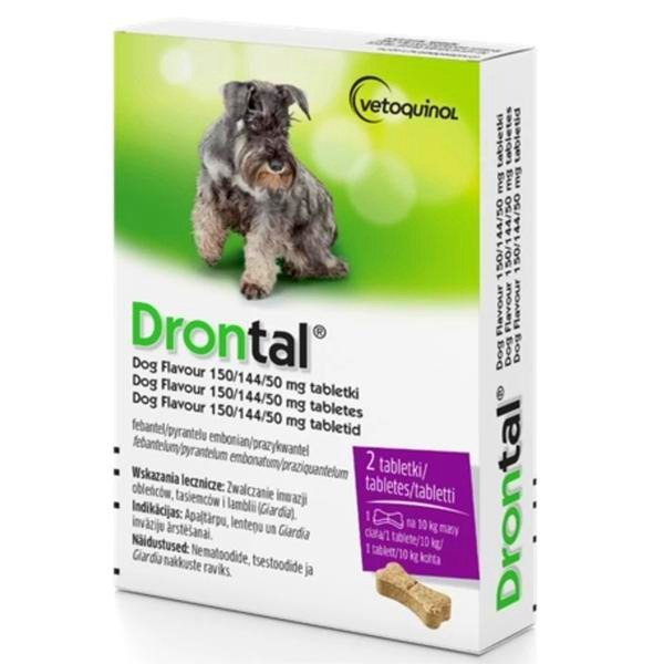 Odrobaczanie psa – kiedy ma sens i dlaczego nie warto robić tego w ciemno?