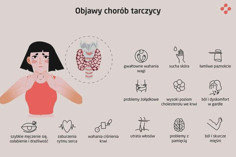 Podwyższone TSH – interpretacja wyniku i możliwe przyczyny