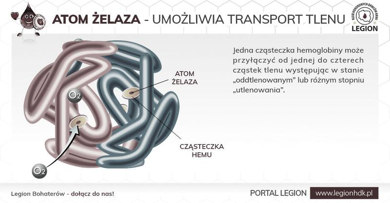 Interpretacja wyników hemoglobiny