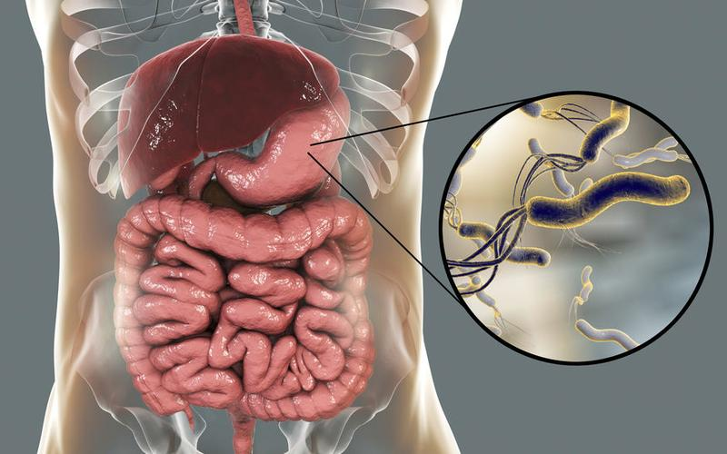 Leczenie Helicobacter pylori