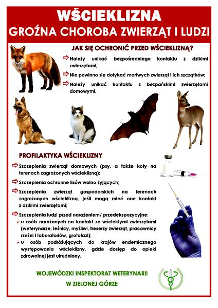 Leczenie wścieklizny