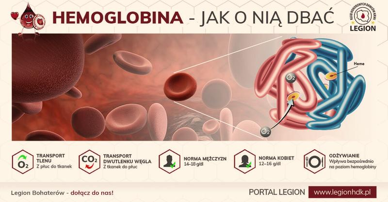 Normy hemoglobiny